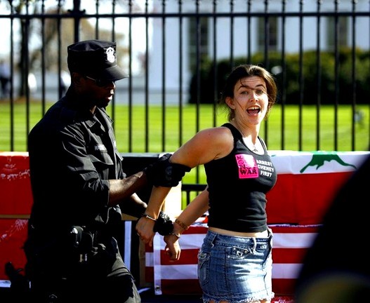 washington demonstrator arrest.jpg washington demonstrator arrest.jpg
